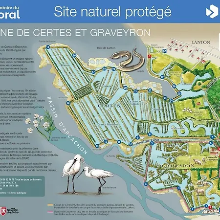 Chalet Le Cabanon Du Marché Audenge