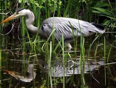 Le Cabanon Du Marché * Audenge