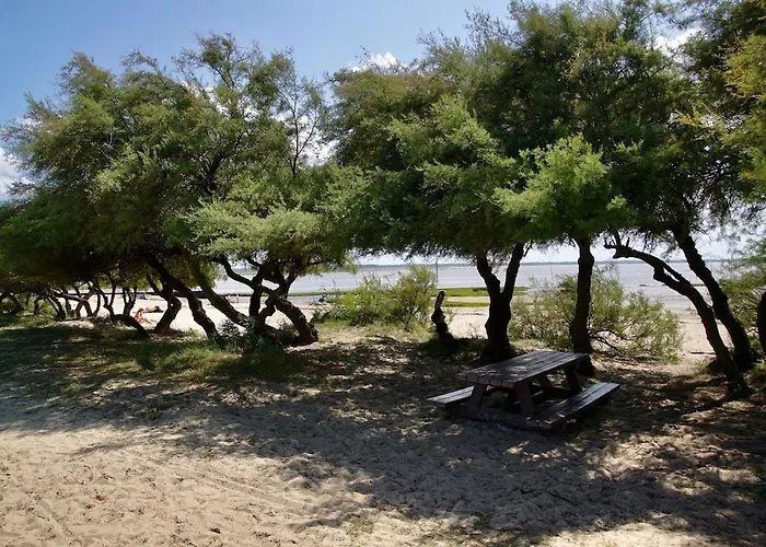 Le Cabanon Du Marche *