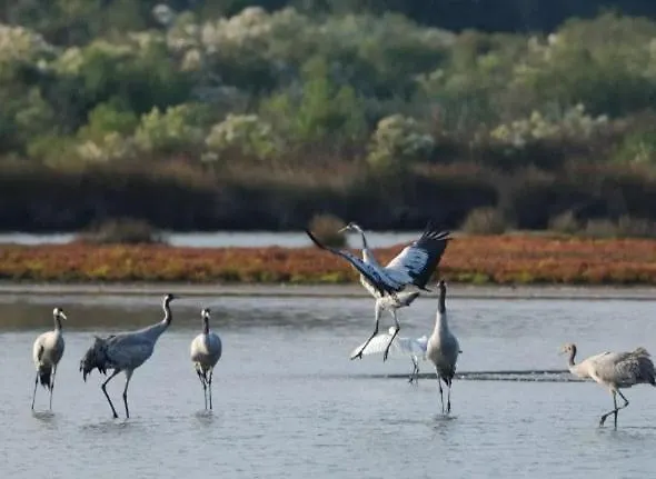 Le Cabanon Du Marche Horská chata Audenge